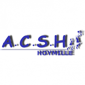 HOYMILLE ACS - 1