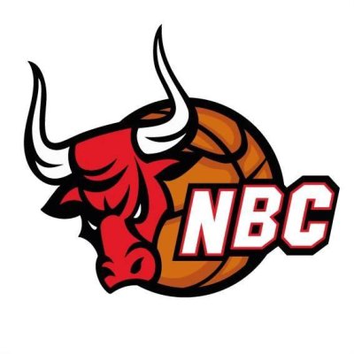 NIEPPE BASKET CLUB